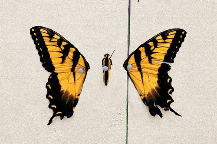 Il y a 17 ans, Paramore transformait ses conflits internes en brand new eyes